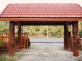 2 Schlafzimmer Haus zu verkaufen in Thung Wa, Satun, Na Thon, Thung Wa