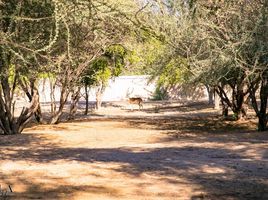  Land for sale at AL Jurf, Al Jurf, Ghantoot