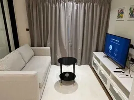 คอนโด 1 ห้องนอน ให้เช่า ในโครงการ เดอะ ไตเติ้ล ฮาโล่ 1, สาคู, ถลาง, ภูเก็ต, ไทย