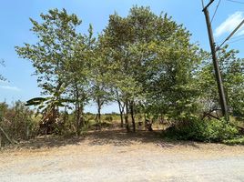  Land for sale in Pathum Thani, Bueng Bon, Nong Suea, Pathum Thani