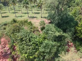  Land for sale in Pathio, Chumphon, Pak Khlong, Pathio