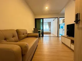 1 Bedroom Apartment for rent at Chewathai Hallmark Ladprao-Chokchai 4, Saphan Song