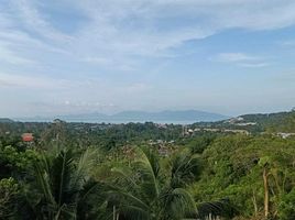 4 Schlafzimmer Villa zu verkaufen in Koh Samui, Surat Thani, Bo Phut