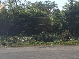 ขายที่ดิน ใน ตะกั่วป่า พังงา, บางนายสี, ตะกั่วป่า, พังงา