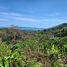  Land for sale in Big Buddha, Karon, Karon