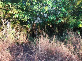  Land for sale in Bung Khla, Lom Sak, Bung Khla