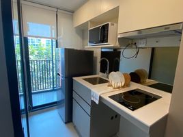 1 Bedroom Apartment for rent at The Privacy S101, Bang Chak, Phra Khanong