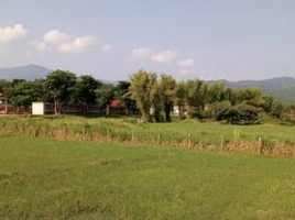  Land for sale in Chiang Mai, Mae Rim, Chiang Mai