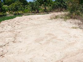  Grundstück zu verkaufen in Nong Chang, Uthai Thani, Thung Pho