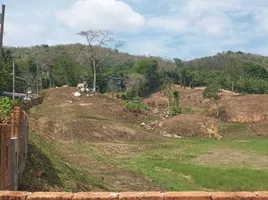  Grundstück zu verkaufen in Thalang, Phuket, Choeng Thale