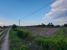  Land for sale in Don Sai, Pak Tho, Don Sai