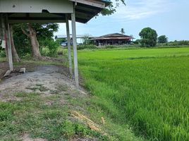  Land for sale in Song Phi Nong, Suphan Buri, Hua Pho, Song Phi Nong