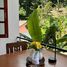 2 Bedroom House for rent in Patong, Phuket, Patong, Kathu