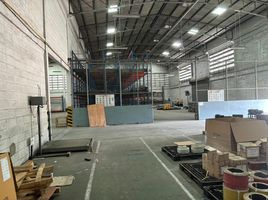  Warehouse for rent in Samut Prakan, Nai Khlong Bang Pla Kot, Phra Samut Chedi, Samut Prakan