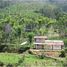  Land for sale at OOTY TEA ESTATE, Udagamandalam, The Nilgiris