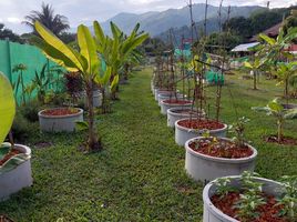  Grundstück zu verkaufen in Mae Chan, Chiang Rai, Mae Chan, Chiang Rai