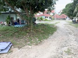  Grundstück zu verkaufen in Koh Samui, Surat Thani, Bo Phut