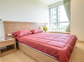 1 Schlafzimmer Appartement zu vermieten im Rhythm Sukhumvit 50, Phra Khanong