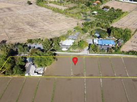  Grundstück zu verkaufen in San Kamphaeng, Chiang Mai, Rong Wua Daeng