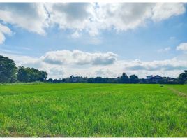  Land for sale in Chiang Rai, Ban Du, Mueang Chiang Rai, Chiang Rai