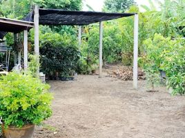 3 Schlafzimmer Haus zu verkaufen in Mae Rim, Chiang Mai, Rim Tai