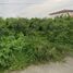  Land for sale in Lop Buri, Chong Sarika, Phatthana Nikhom, Lop Buri