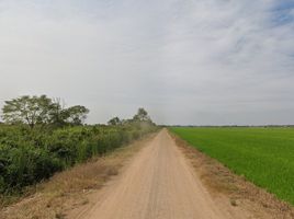  Grundstück zu verkaufen in Lam Luk Ka, Pathum Thani, Phuet Udom