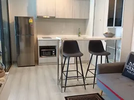 2 Bedroom Condo for rent at Life Sukhumvit 48, Phra Khanong, Khlong Toei, Bangkok