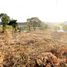  Land for sale in Choeng Thale, Thalang, Choeng Thale