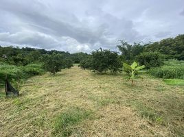  Grundstück zu verkaufen in Thong Pha Phum, Kanchanaburi, Tha Khanun