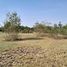  Land for sale in Damrey Sor Pagoda, Svay Por, 