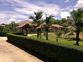 5 Schlafzimmer Villa zu verkaufen in San Sai, Chiang Mai, Nong Han, San Sai