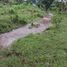  Land for sale in Chiang Dao, Chiang Mai, Chiang Dao