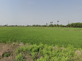  Grundstück zu verkaufen in Nakhon Chai Si, Nakhon Pathom, Laem Bua, Nakhon Chai Si, Nakhon Pathom