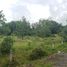  Land for sale in Thalang, Phuket, Mai Khao, Thalang