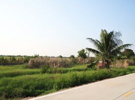  Grundstück zu verkaufen in Mueang Pathum Thani, Pathum Thani, Bang Luang