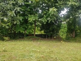  Land for sale in Phrao Hospital, Wiang, Wiang