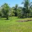  Land for sale in Amazonas, Rio Preto Da Eva, Rio Preto Da Eva, Amazonas