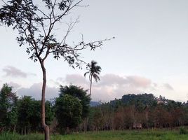  Grundstück zu verkaufen in Koh Samui, Surat Thani, Taling Ngam