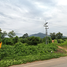  Grundstück zu verkaufen in Phrao, Chiang Mai, Long Khot, Phrao