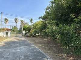  Land for sale in Khao Song Phi Nong, Takhian Tia, Takhian Tia