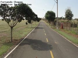  Land for sale in Holambra, Holambra, Holambra