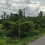  Land for sale in Sichon, Nakhon Si Thammarat, Sichon, Sichon