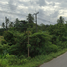  Land for sale in Nakhon Si Thammarat, Sichon, Sichon, Nakhon Si Thammarat