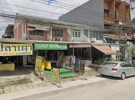  Grundstück zu verkaufen in Mueang Chiang Mai, Chiang Mai, Phra Sing