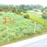  Land for sale in Pa Kha, Ban Na, Pa Kha