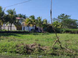  Land for sale in Omoa, Cortes, Omoa