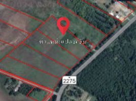  Land for sale in Phetchabun, Na Yom, Mueang Phetchabun, Phetchabun