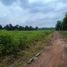  Land for sale in Minh Thanh, Dau Tieng, Minh Thanh