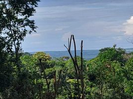 4 Bedroom House for sale in Puntarenas, Parrita, Puntarenas